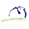 Dromedary